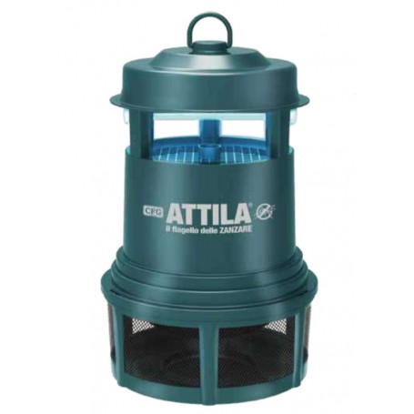 Attila CFG